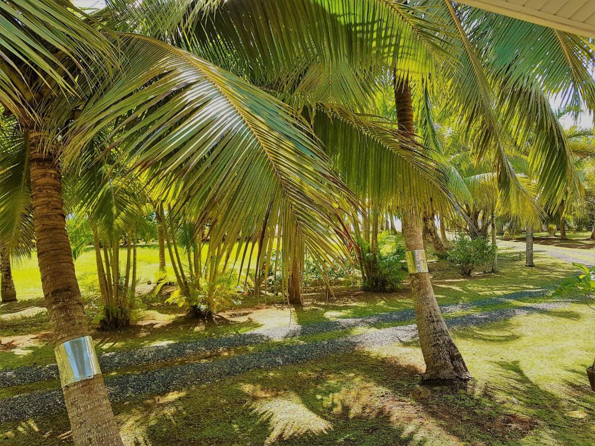 Villa Huahine - Tipanier House Haapu Exterior foto